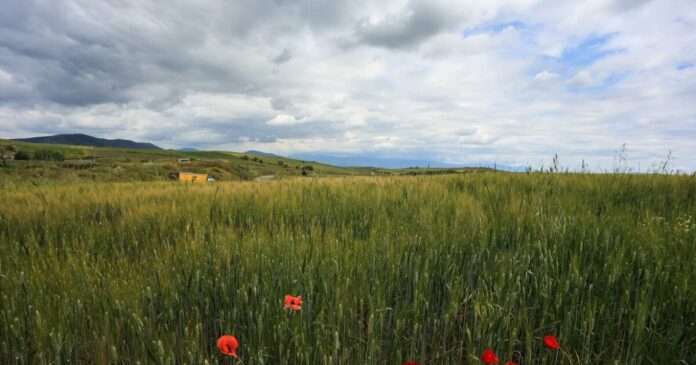 kairos 1 1200x630.jpg kairos 1 1200x630.jpg