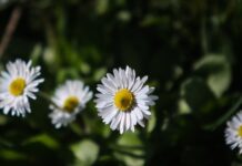 kairos 2 1 1200x630.jpg