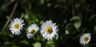 kairos 2 1 1200x630.jpg