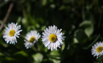 kairos 2 1 1200x630.jpg