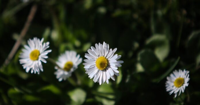 kairos 2 1 1200x630.jpg