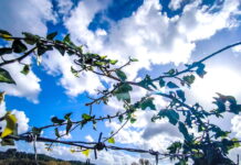 Καιρός αύριο: Λιακάδα με λίγη συννεφιά στο μεγαλύτερο μέρος της χώρας – Πιθανότητα βροχών στην Κρήτη kairos 2 1200x630.jpg