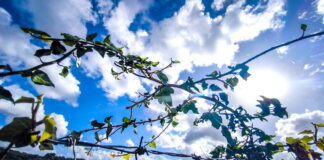 kairos 2 1200x630.jpg