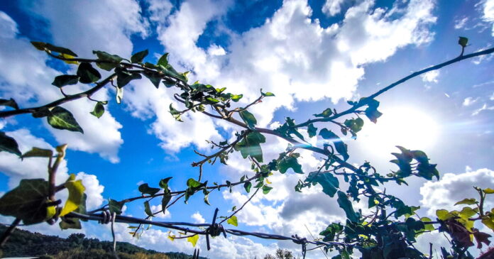 kairos 2 1200x630.jpg