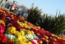 kairos 2 3 1200x630.jpg