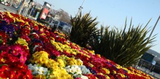 kairos 2 3 1200x630.jpg