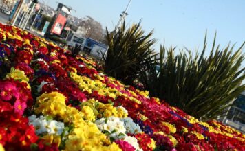 kairos 2 3 1200x630.jpg