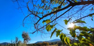 kairos 2 4 1200x630.jpg