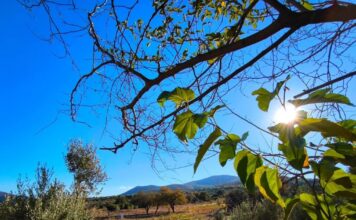 kairos 2 4 1200x630.jpg