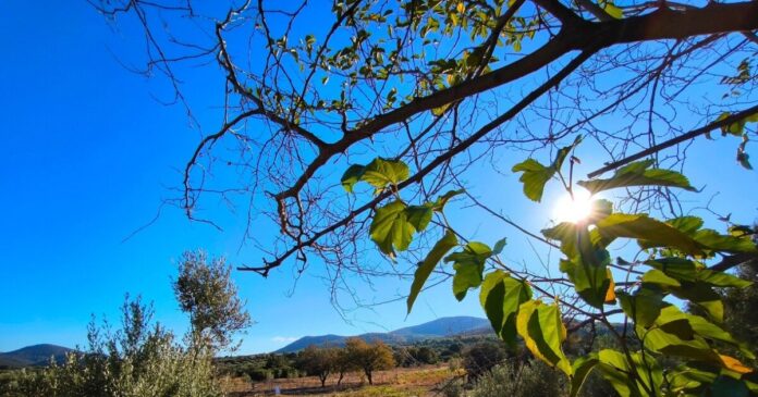 kairos 2 4 1200x630.jpg