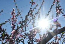 Καιρός σήμερα: Ηλιοφάνεια με λίγη συννεφιά – Βροχές σε περιοχές της Κρήτης kairos 3 1200x630.jpg