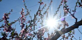 kairos 3 1200x630.jpg