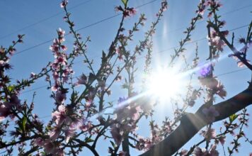 kairos 3 1200x630.jpg