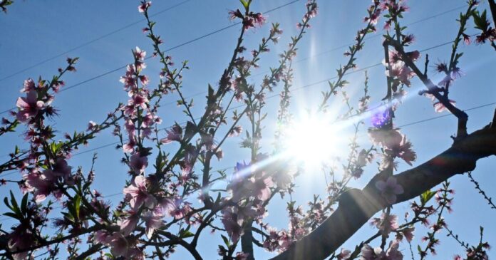 kairos 3 1200x630.jpg