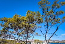 kairos 5 1200x630.jpg