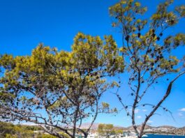 kairos 5 1200x630.jpg