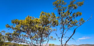 kairos 5 1200x630.jpg