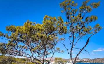 kairos 5 1200x630.jpg