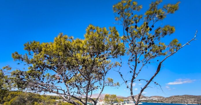 kairos 5 1200x630.jpg