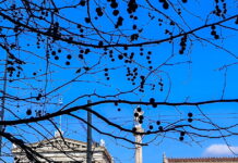 kairos 6 1200x630.jpg