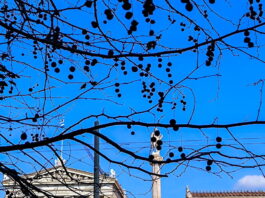 kairos 6 1200x630.jpg