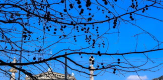 kairos 6 1200x630.jpg