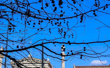 kairos 6 1200x630.jpg