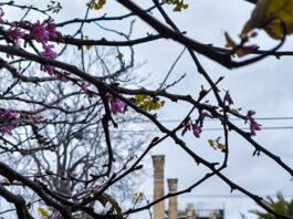 kairos2 2 1200x630.jpg