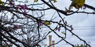 kairos2 2 1200x630.jpg