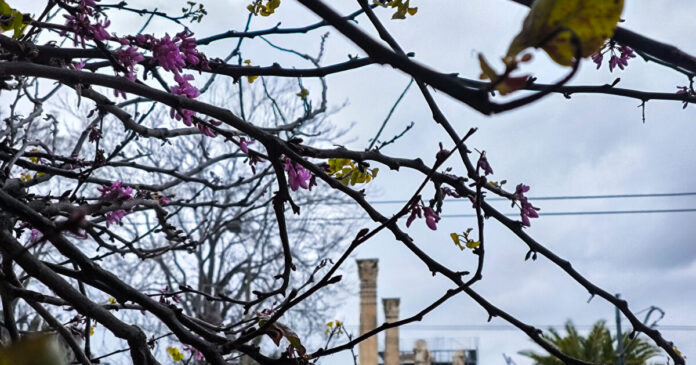 kairos2 2 1200x630.jpg kairos2 2 1200x630.jpg