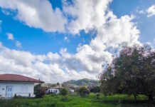 kairos4 1 1200x630.jpg