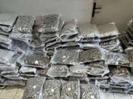 kannavi narkwtika 1200x630.jpg