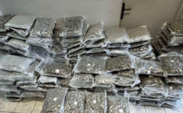 kannavi narkwtika 1200x630.jpg