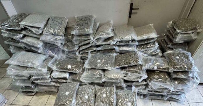 kannavi narkwtika 1200x630.jpg