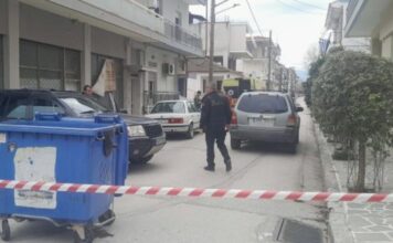 karditsa ert 1 1200x630.jpg