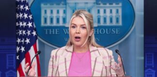 karoline leavitt 3 1200x630.jpg