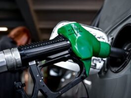 kausima pratirio eurokinissi 1200x630.jpg