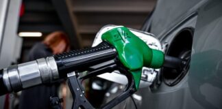 kausima pratirio eurokinissi 1200x630.jpg