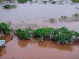 kenya 24032026 1200x630.jpg