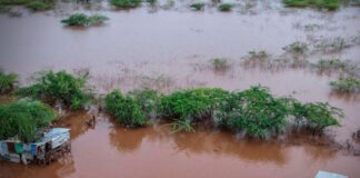 kenya 24032026 1200x630.jpg