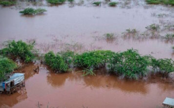 kenya 24032026 1200x630.jpg