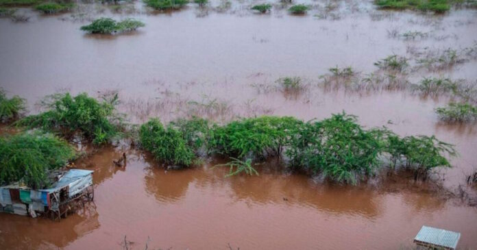 kenya 24032026 1200x630.jpg