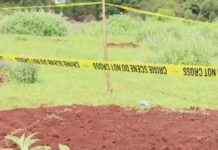 kenya omadikos tafos 25032026 1200x630.jpg