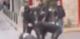 ksulodarmos kupseli 1200x630.jpg