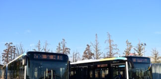 leofroeia 1200x630.jpg