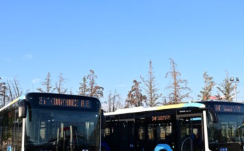 leofroeia 1200x630.jpg