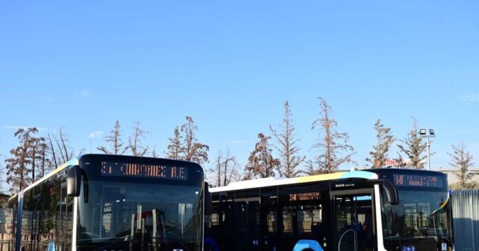 leofroeia 1200x630.jpg