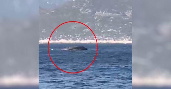 limeniko frontex 1200x630.jpg