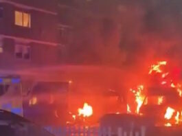 londino fotia 1200x630.jpg