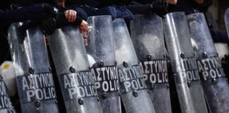 mat gipedo scaled.jpg